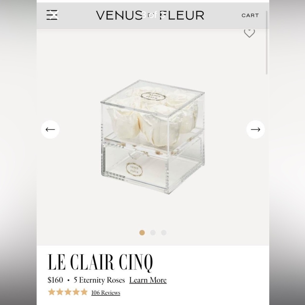 Venus et Fleur - White Eternity Roses in Acrylic Vase